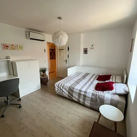 Charmante Maison, 3 Et Parking, Дом отдыха Вьен